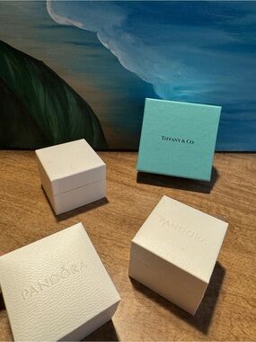 Tiffany & Co. Blue Gift Box with Pandora White Jewelry Boxes (Boxes Only)